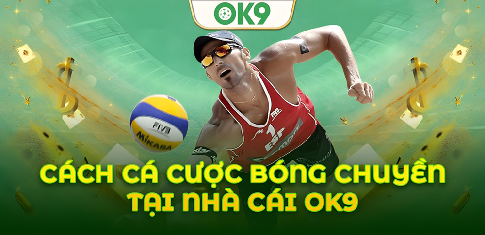 Hướng dẫn cách chơi bóng chuyền OK9 chuẩn và đơn giản trong 30s 1 Hướng dẫn cách chơi bóng chuyền OK9 chuẩn và đơn giản trong 30s