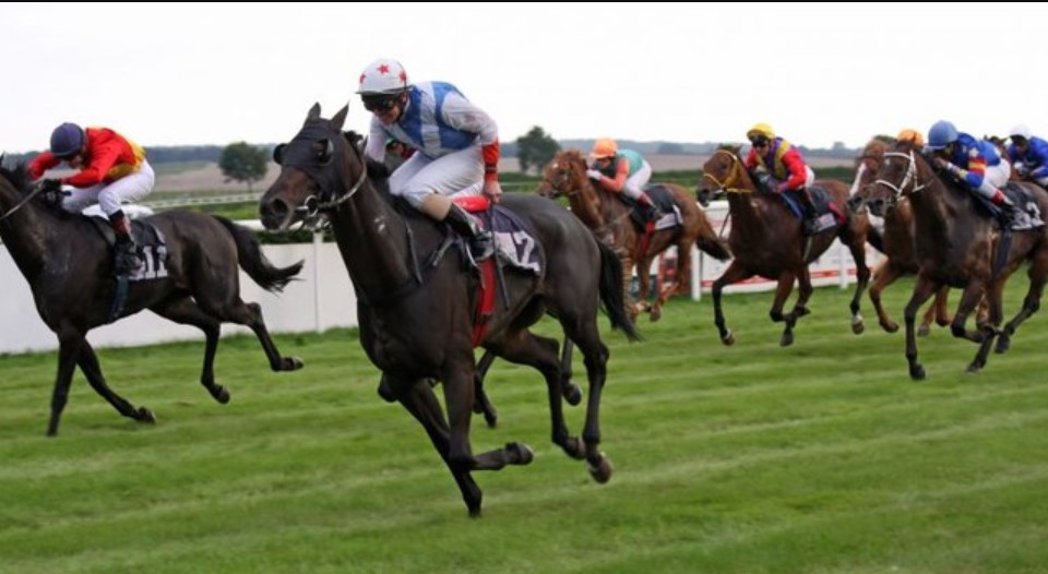 Tham Gia Khám Phá Cá Cược Đua Ngựa 8DAY Ngay Hôm Nay 2 Lý Do Cá Cược Đua Ngựa 8DAY Thu Hút Người Chơi